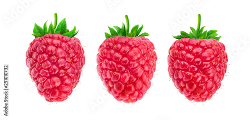 One raspberry isolated on white background, collection