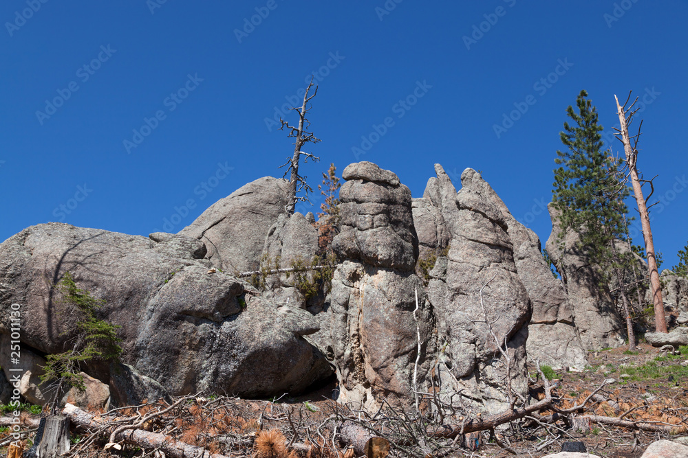 Fototapeta premium Rock Formations in Custer State Park
