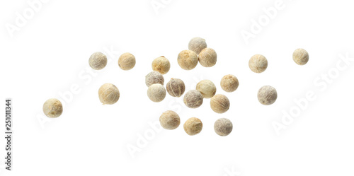 White peppercorn seeds isolated on white background photo