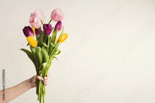 Hand holding tulips bouquet at white background, copy space