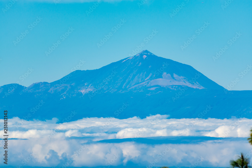 Green Canarian pine tree and Mountains landscape on Gran Canaria island, view on Mount Teide, tenerife, Canary, Spain Green Canarian pine tree and Mountains landscape on Gran Canaria island, view on Mount Teide, tenerife, Canary, Spain