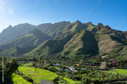 Fertile valley with mango and oranges fruit plantations, vineyards and avocados orchards near Agaete, Gran Canaria, Canary islands, Spain photo
