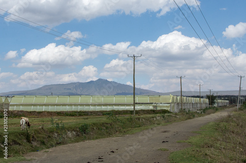 greenhouse at lake Naivasha