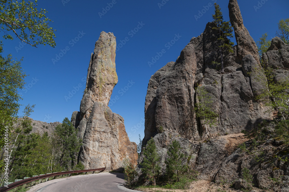 Rock Formations in Custer State Park