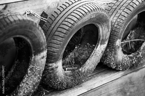 Tires with marine fouling and clams
