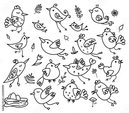 Photography Vector set of birds cartoons, black silhouettes for coloring.