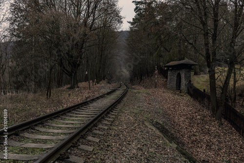 railroad tracks leading through a dense forest in autumn landscape © Vladimira