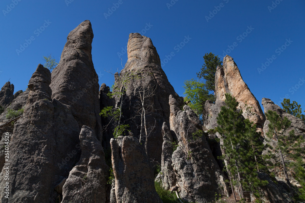 Rock Formations in Custer State Park