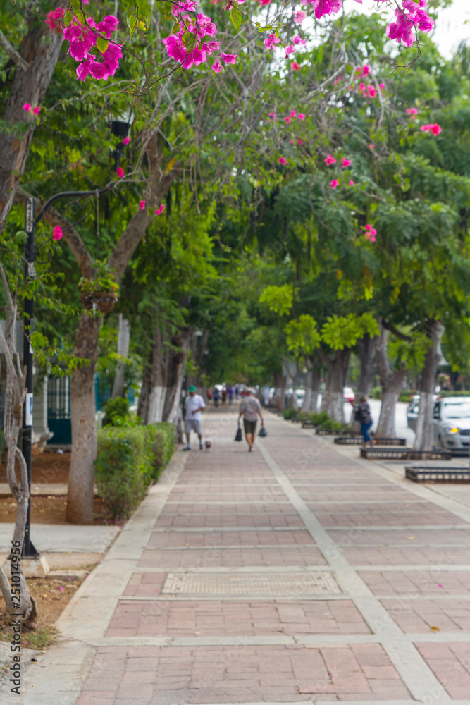 Fototapeta premium Mérida