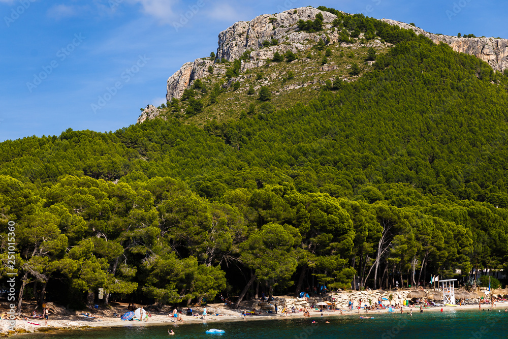 view of a yacht on a large mountain; in the foreground is the beach and immediately begins the pine forest, which goes to the top of the hill