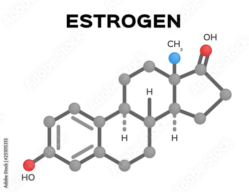 estrogen structure vector