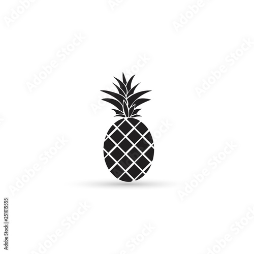 pineapple single icon on light background