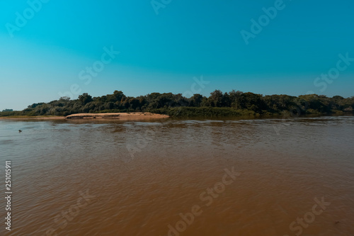 River landscape and jungle,Pantanal, Brazil