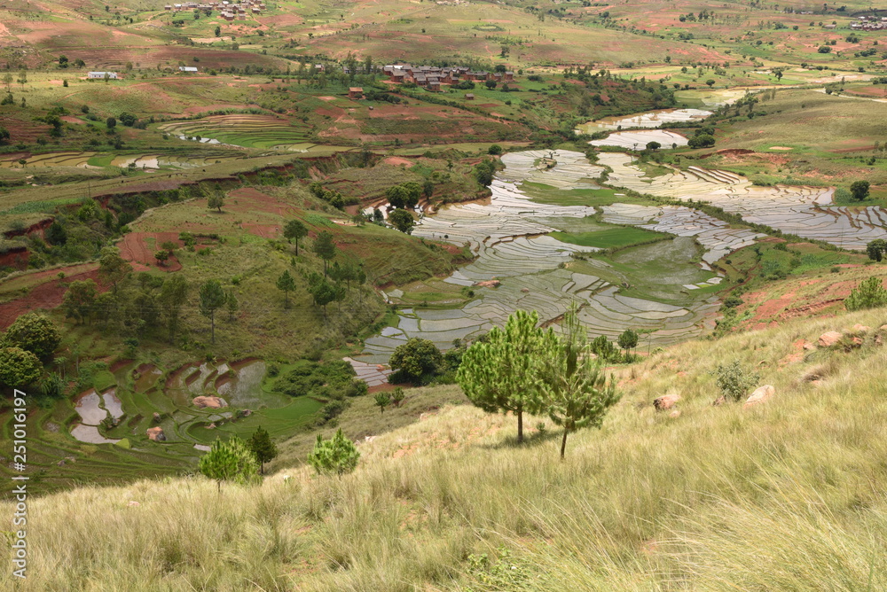 Madagascar la vallée de riz 2083