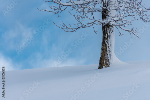 Monte di Zambla photo