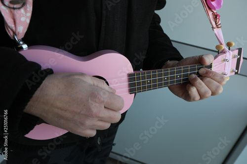 Funny pink Ukulele witz Flower Decoration photo