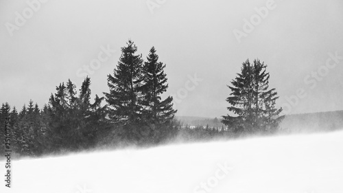 Beautiful winter landscape. Highland - Czech Republic.