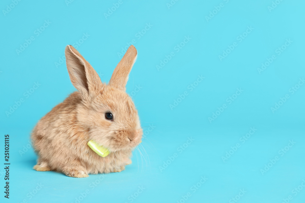 Adorable furry Easter bunny with cute bow tie on color background, space for text Adorable furry Easter bunny with cute bow tie on color background, space for text