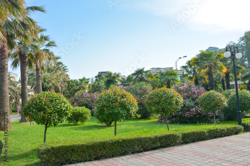 city park in Sochi