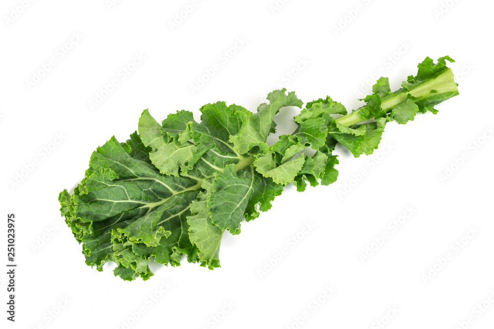 Obraz premium curly kale