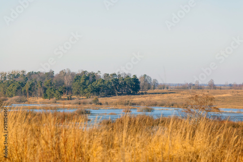 beautiful view of the yellow field by the river and the forest © Sergey