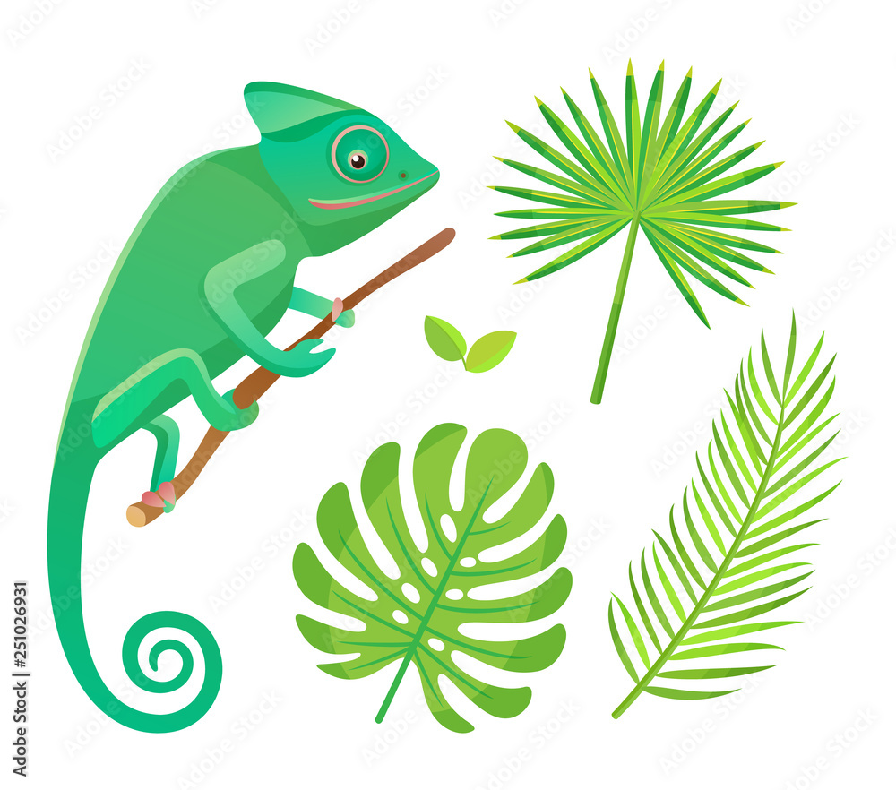 Fototapeta premium Chameleon sitting and looking on branch. Wildlife and amphibia with tail, reptile and green leaves of fern isolated on white, flora and fauna vector