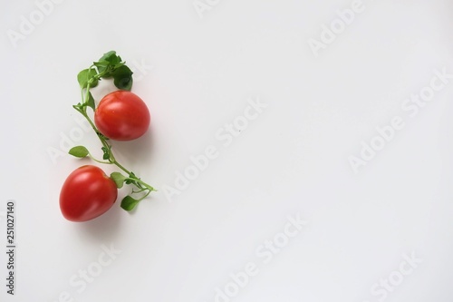 tomatoes on vine isolated on white background