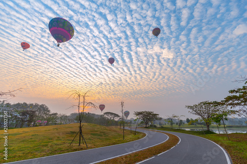 hot air balloons flying over Flower field with sunrise at Chiang Rai Province, Thailand