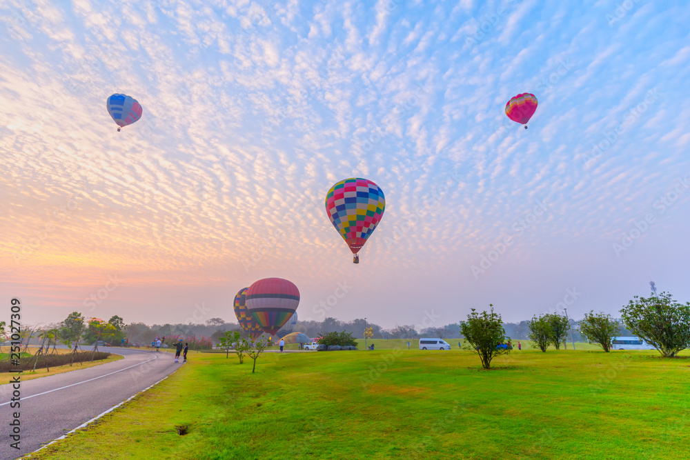 Obraz premium hot air balloons flying over Flower field with sunrise at Chiang Rai Province, Thailand