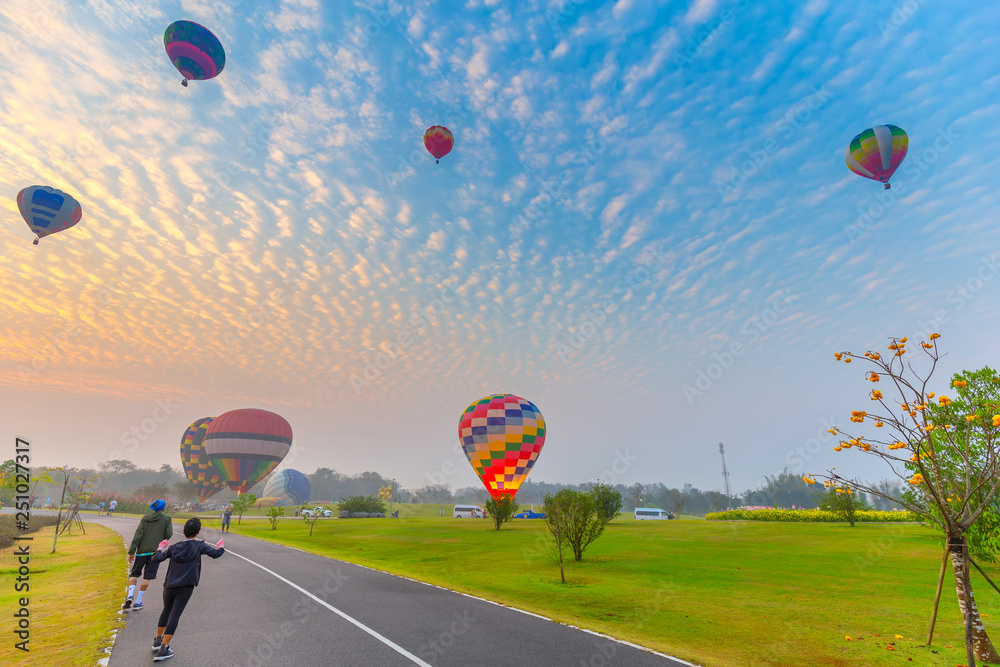 Obraz premium hot air balloons flying over Flower field with sunrise at Chiang Rai Province, Thailand