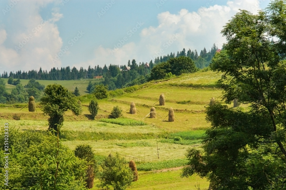 Beautiful summer landscape - the mountains and fields on which there are piles of dry grass for cows and horses