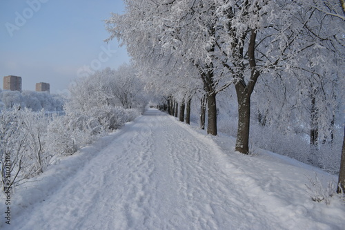 snowy road in winter © Андрей Серга