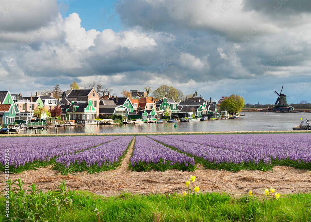 Fototapeta premium Dutch wind mills