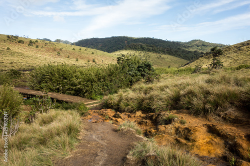 landscape with path of Horton Plains national park