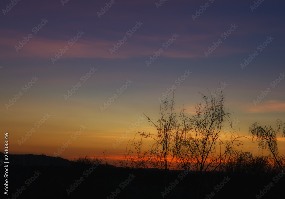 A colorful sundown in Germany above trees