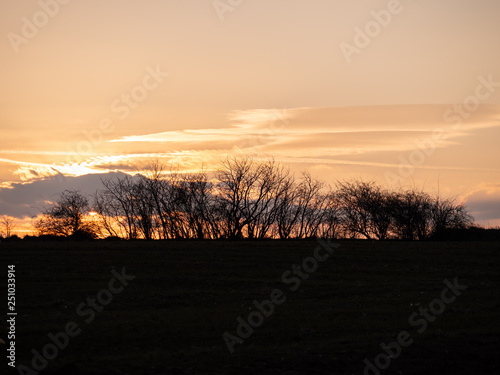 Sunset over the horizon. Golden hour over the field. Orange sky by the sunset. 