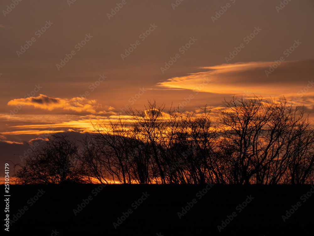 Fototapeta premium Sunset over the horizon. Golden hour over the field. Orange sky by the sunset. 