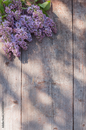 lilac on old wooden background in sunlight