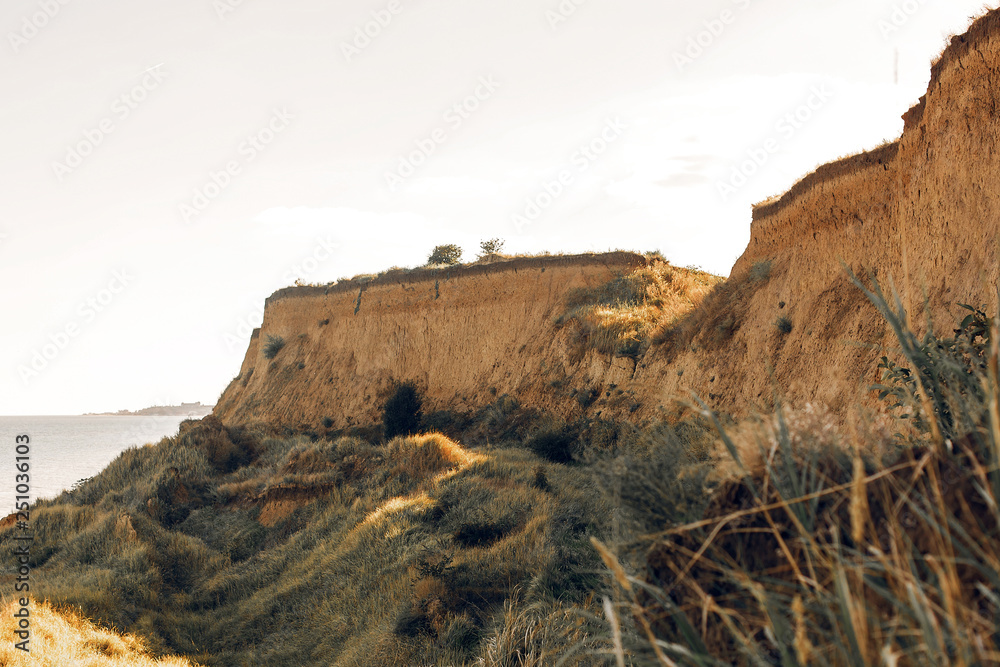 Fototapeta premium Beautiful view of sandy cliff near sea beach. Landscape of beach cliff with green grass. Summer vacation concept. Exploring interesting places