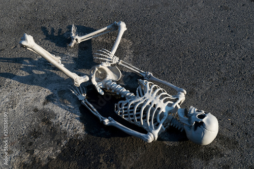 Fake Human Skeleton Lying On Paved Road Stock Photo Adobe Stock
