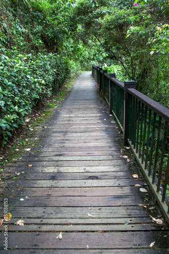 The walk way from wood for walk in sun moon lake at taiwan