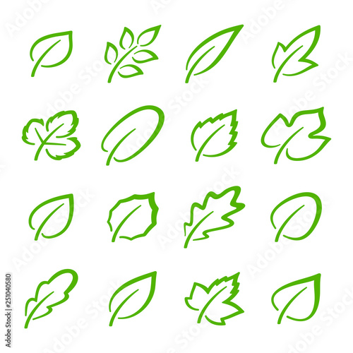 Simple set of linear green leaves vector icons. Contains such vector icons as oak leaf, currant leaf, strawberry leaf, ash leaf and others