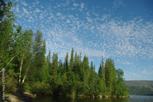 Coniferous forest cape on a mountain lake under a blue sky with flakes of small white clouds. Early evening