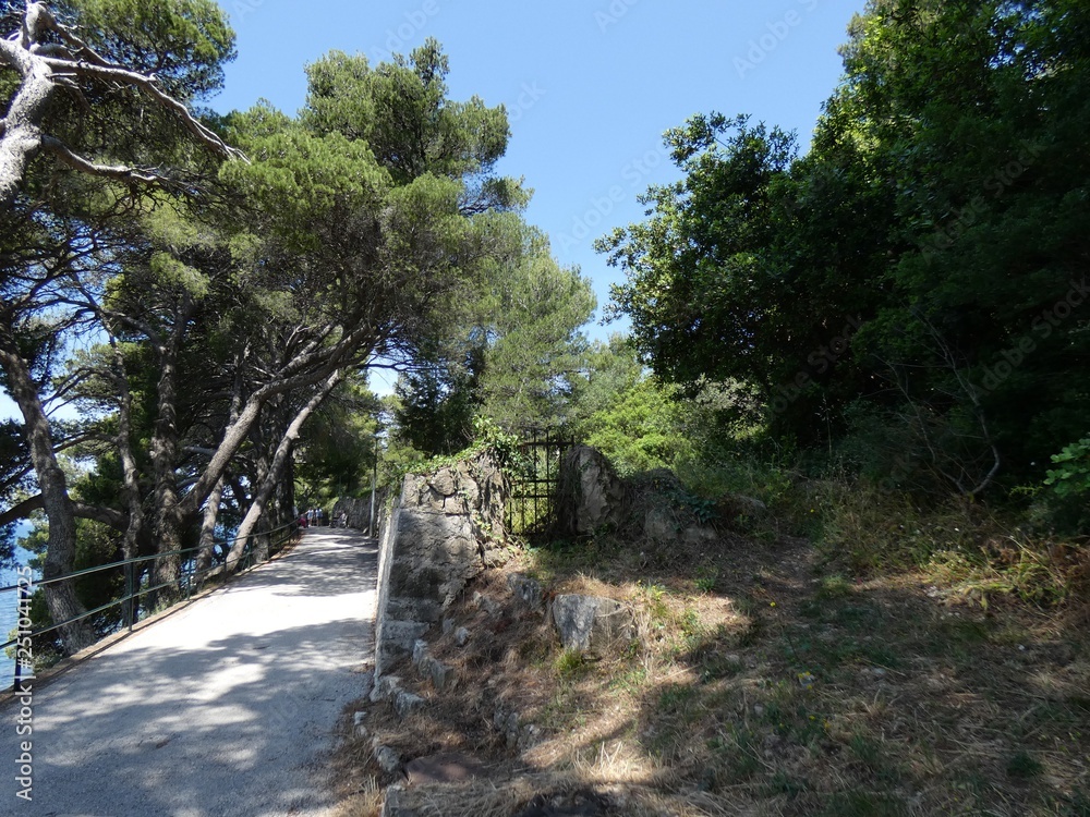 Fototapeta premium Cavtat Croatie 3