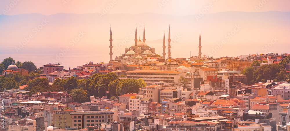 Panorama of Istanbul with mosque in Turkey