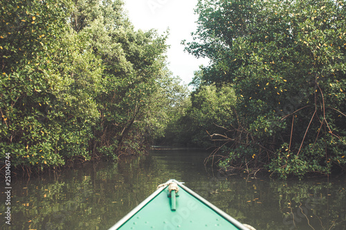 Crossing a mangrove forest with a boat - Canavieiras, Bahia, Brazil.