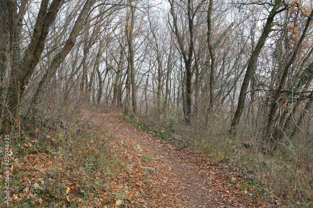Who knows what path will have my life Who knows what path will have my life