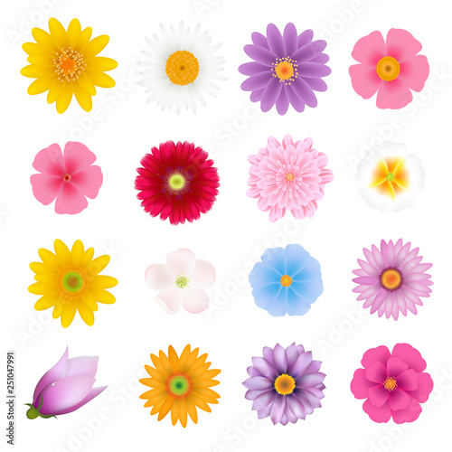 Summer Flowers Set