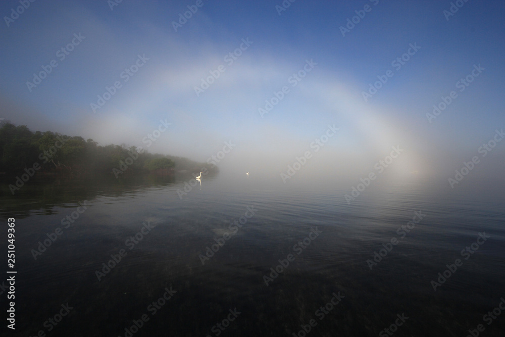 Bright fogbow in Bear Cut off Key Biscayne, Florida, with Great Egrets, Ardea alba, wading beneath.