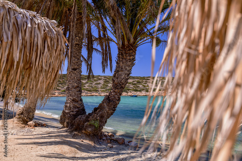 Palm beach (Agia Irini) on Paros island, Greece. Picturesque greek beach with huge palms in Cyclades Islands © Kateryna